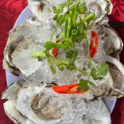 Quán Quân Nhi 