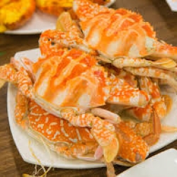Quán Quân Nhi 